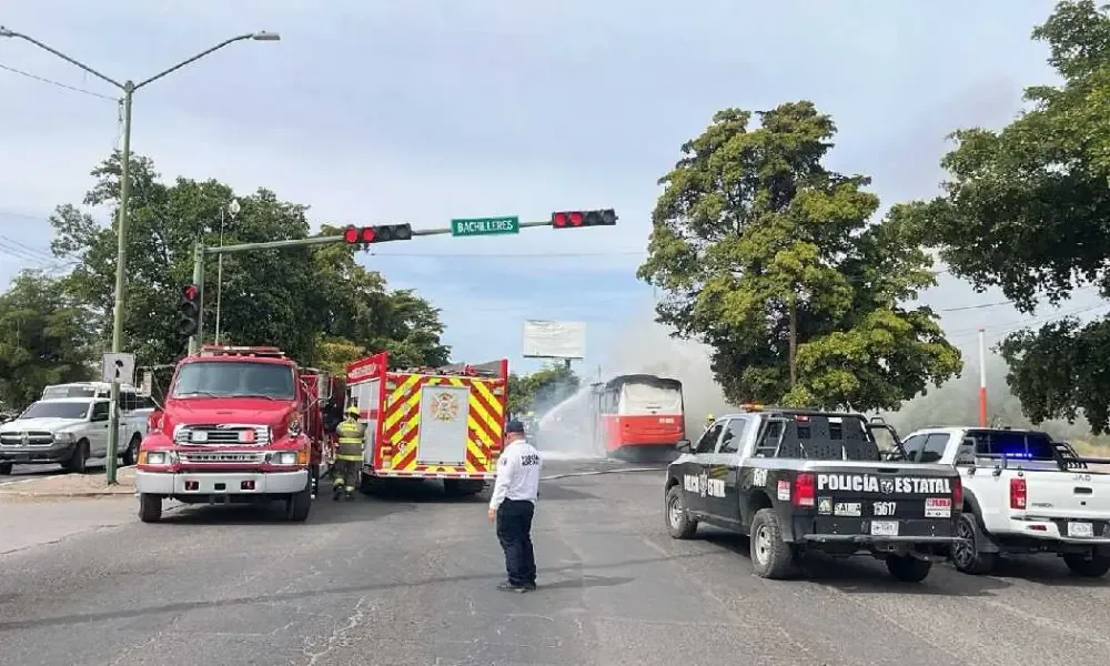 Un hombre fue vinculado a proceso tras la muerte violenta de un felino.