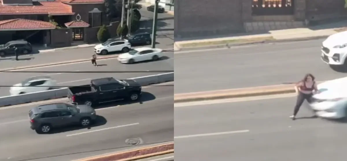 Un impactante video muestra el momento en que la joven es atropellada mientras cruzaba la avenida Paseo de los Leones.