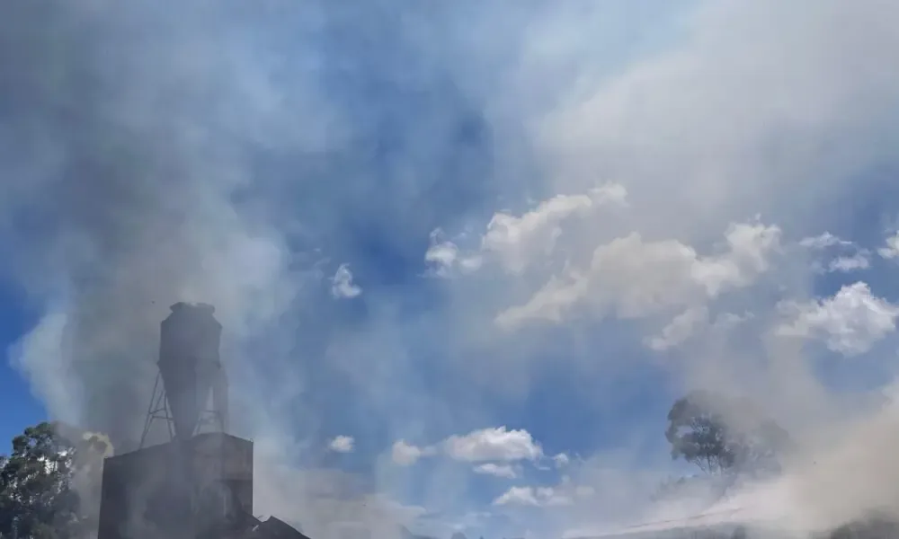 Un incendio en un aserradero generó alarma, pero logró controlarse sin daños personales.