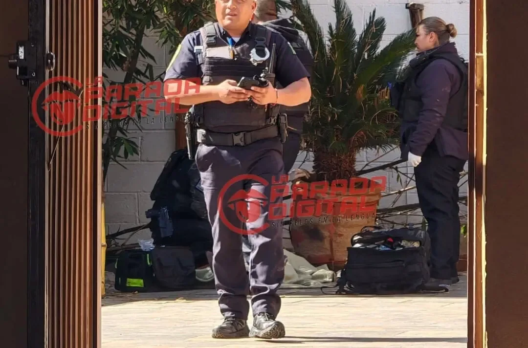 Un intento de robo terminó con un ladrón encontrado en un patio trasero.