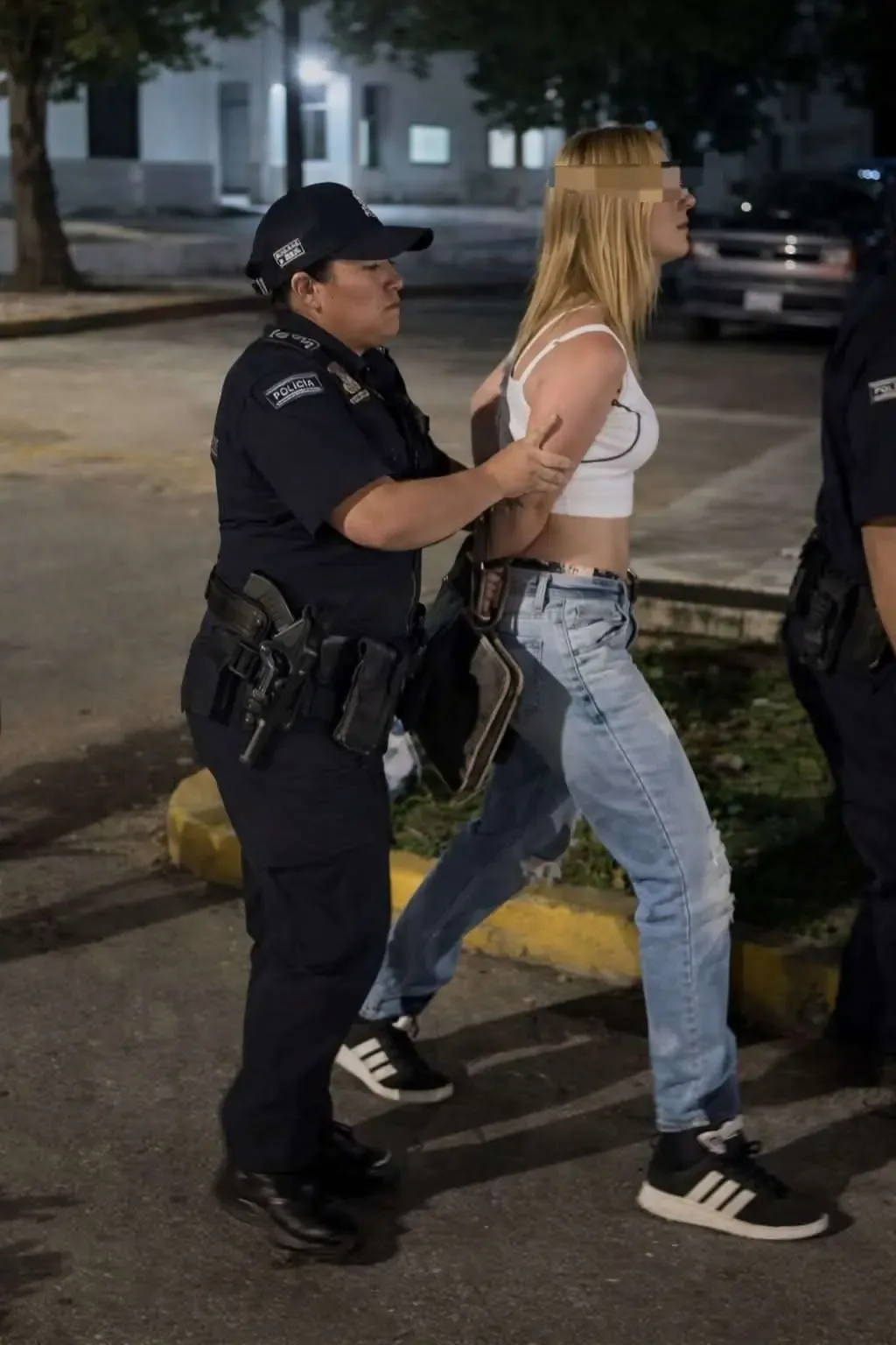 Un llamado a la convivencia entre la comunidad therian terminó en conflictos y una detención.
