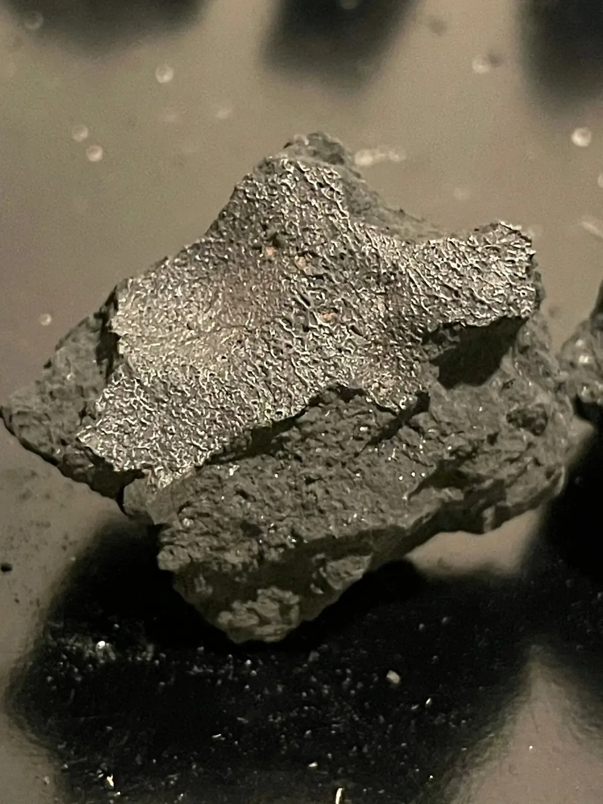 Un meteorito que impactó un hogar en Nueva Jersey aporta hallazgos sobre los ingredientes de la vida.