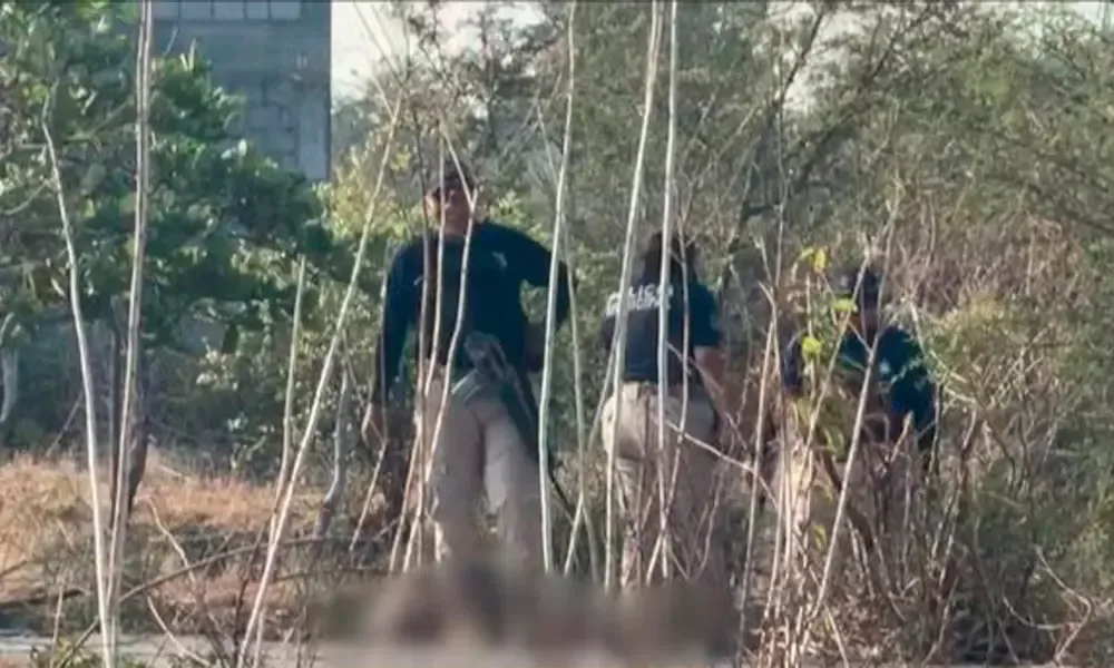 Un nuevo episodio de violencia en el Istmo de Tehuantepec intensifica la preocupación por la seguridad en la región.