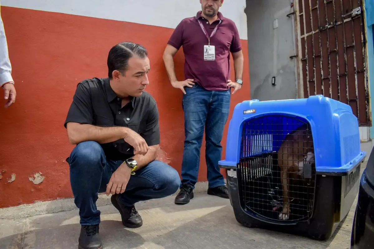 Un perro fue encontrado en una azotea sin acceso a agua gracias a una denuncia ciudadana.