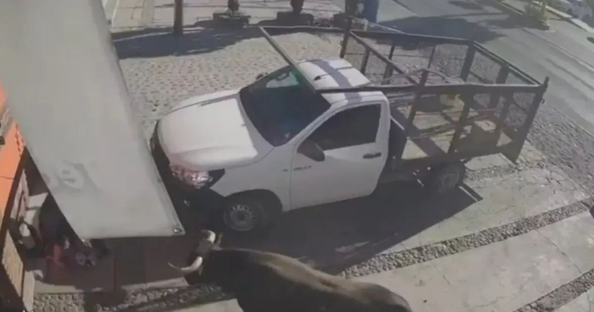 Un toro causó caos en el centro de Pedro Escobedo dejando varios heridos y daños materiales.
