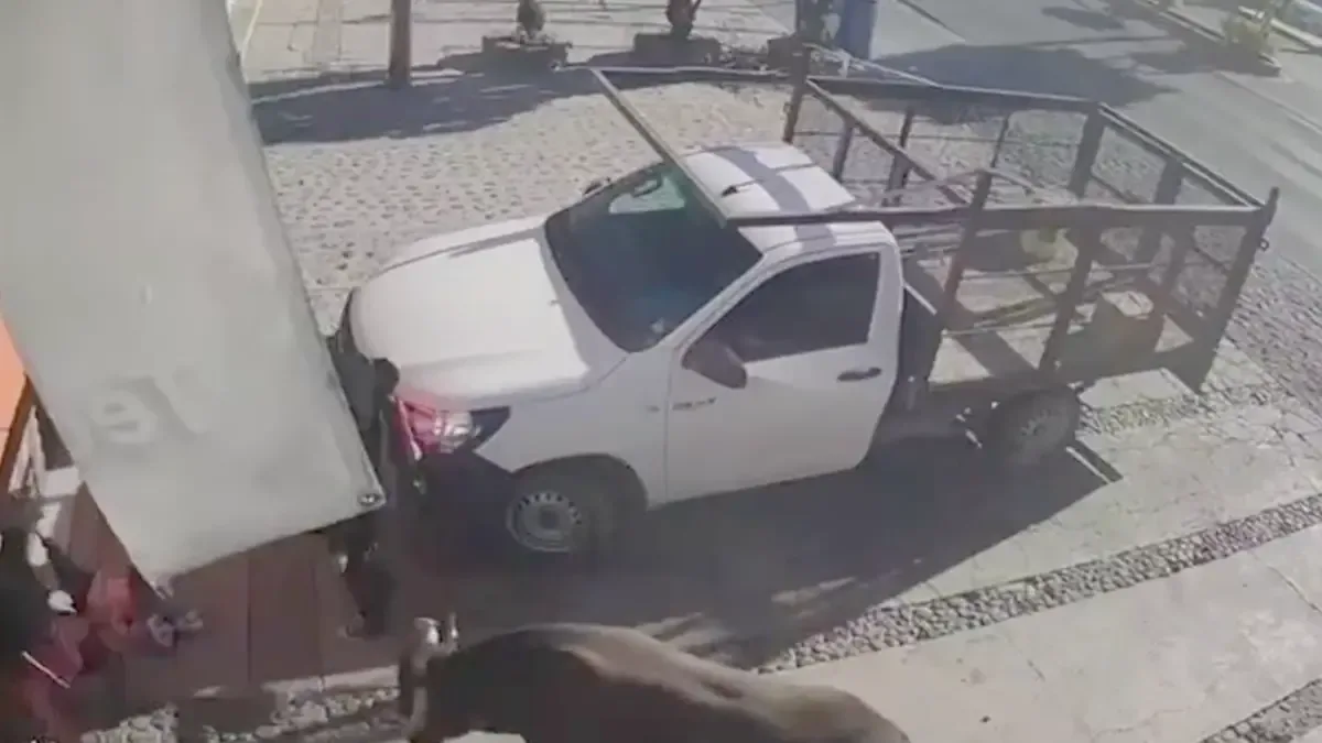 Un toro causa lesiones a seis personas tras escapar de un corral en un incidente captado en video.