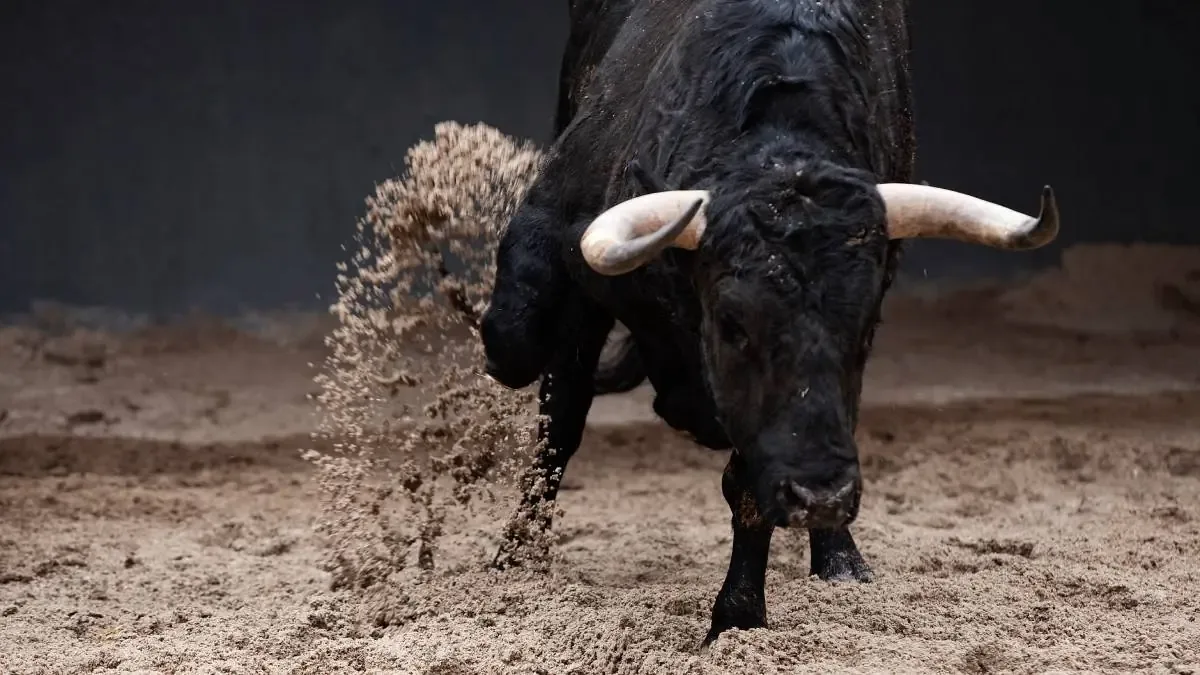 Un toro escapó y atacó a seis personas en Pedro Escobedo, generando daños materiales.