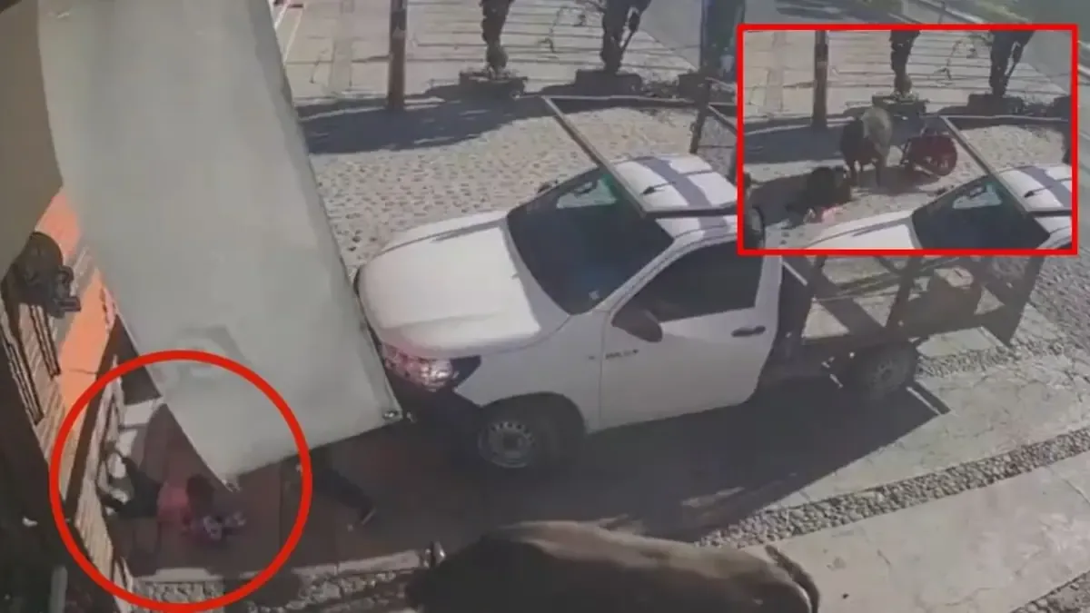 Un toro que escapó de su corral causó lesiones a varias personas en un trágico incidente.