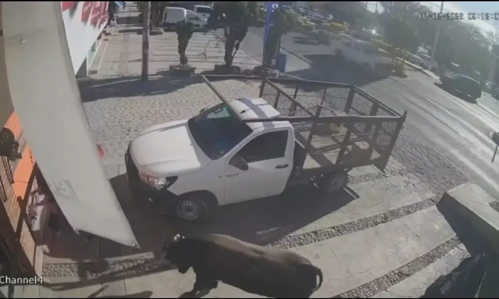 Un toro se escapó y agredió a seis personas en Pedro Escobedo, generando preocupación en la comunidad.
