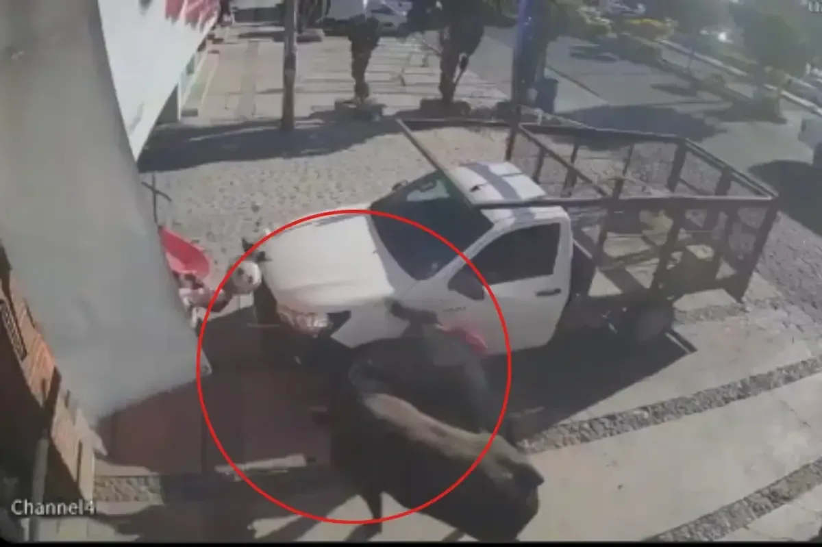 Un toro suelto causa lesiones a varias personas en Pedro Escobedo.