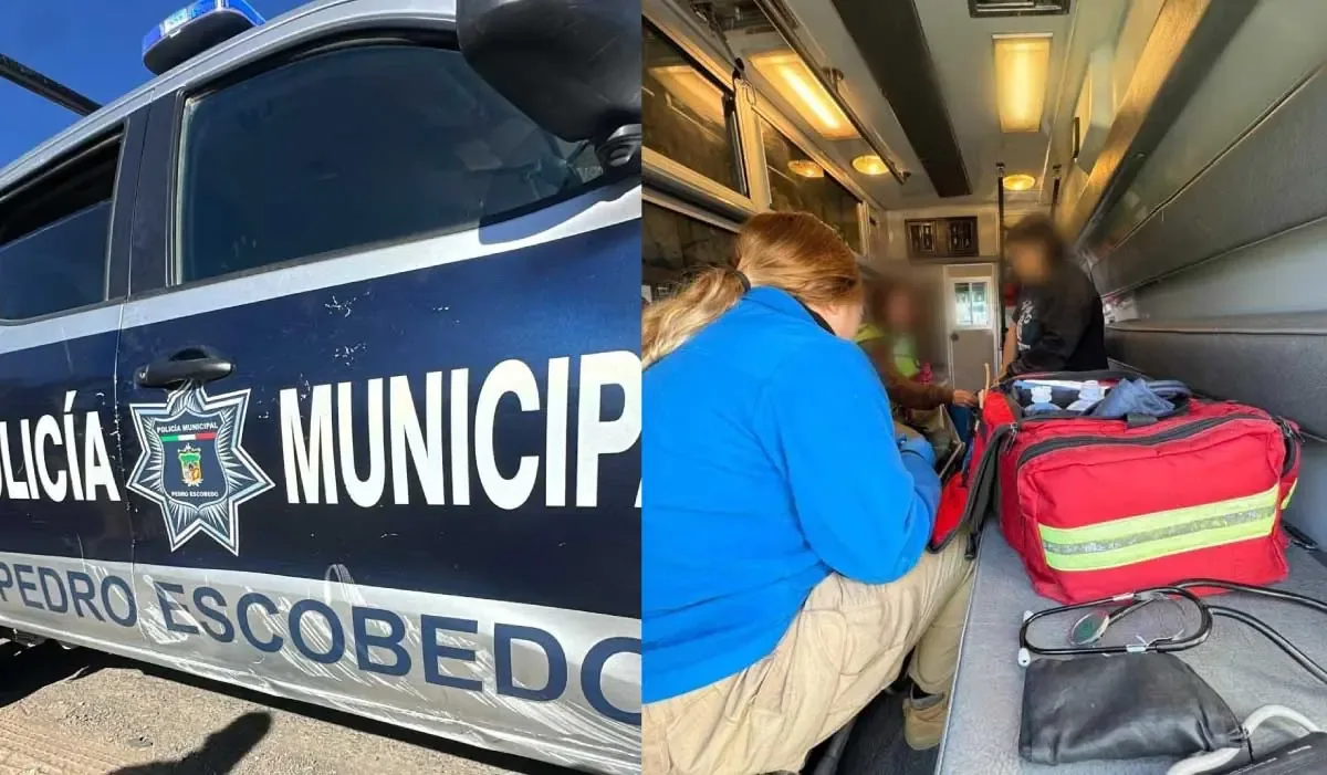 Un toro suelto en el centro de Pedro Escobedo provoca pánico y varios lesionados, además de dañar vehículos municipales.