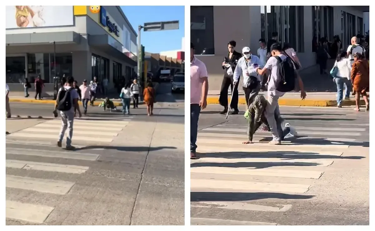 Un video de un joven therian recibe millones de vistas y desata un debate sobre la identidad y aceptación.