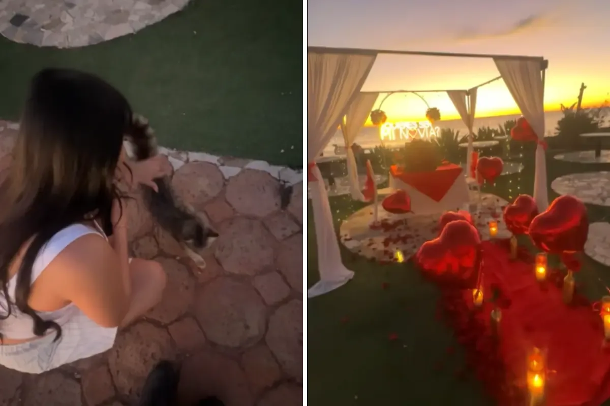 Un video de una propuesta de noviazgo se vuelve viral por el amor de una mujer hacia un gato.