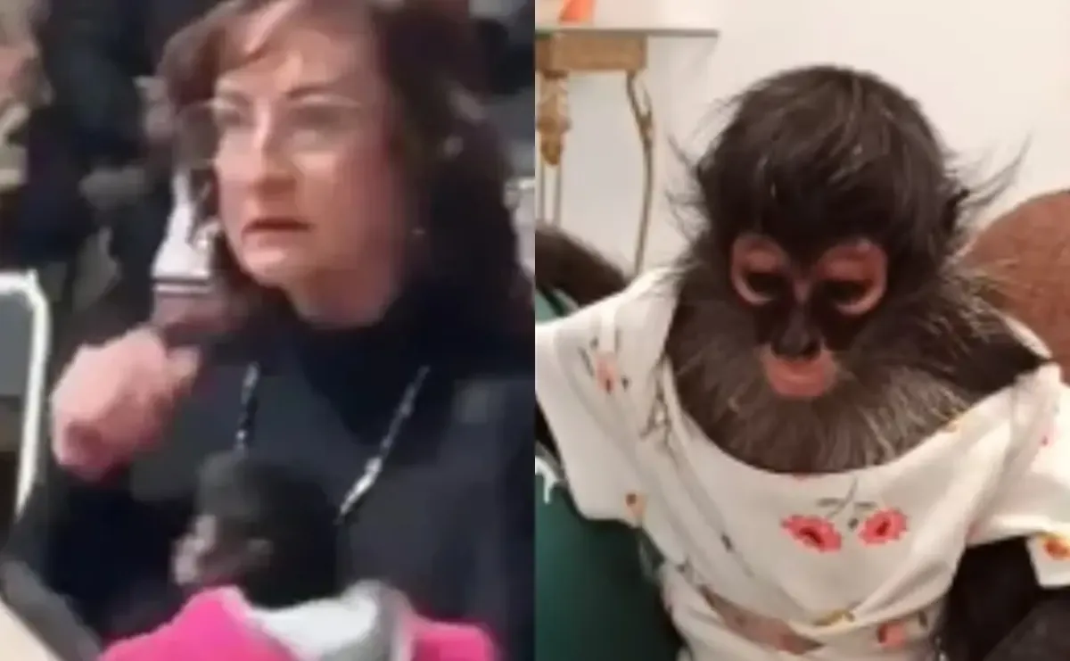 Un video muestra a Silvia Iliana Villarruel agrediendo a un primate en un evento oficial.