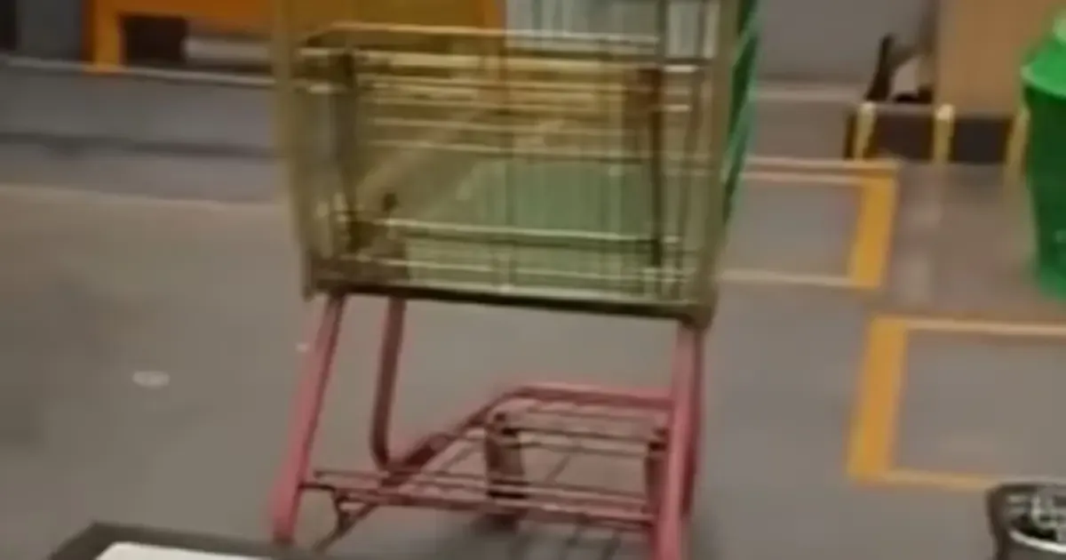 Un video se vuelve viral tras la sorprendente experiencia de un guardia en un supermercado.