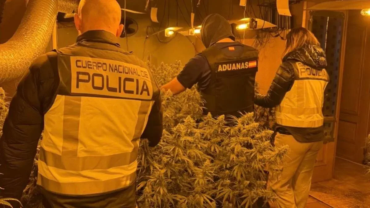 Una operación conjunta de las autoridades evita la distribución de drogas en el mercado ilícito.