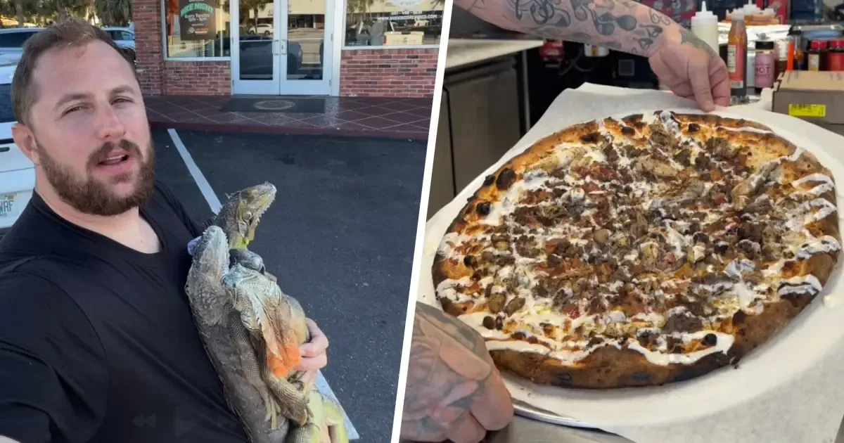Una pizzería de Florida atrae atención tras ofrecer pizza con carne de iguana.