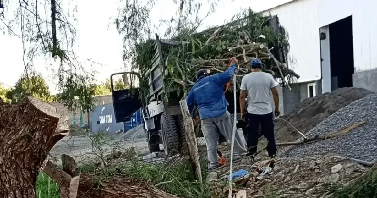 Una vecina reclama respuestas tras la destrucción de árboles en su barrio.