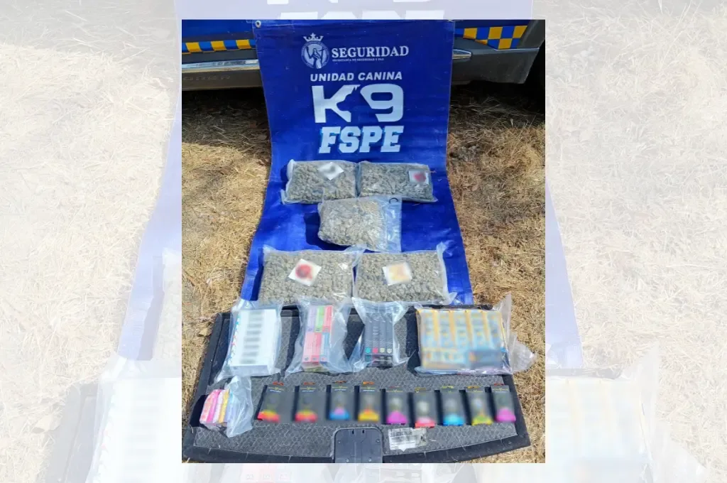 Unidad Canina K9 de las Fuerzas de Seguridad Pública asegurando vapeadores.