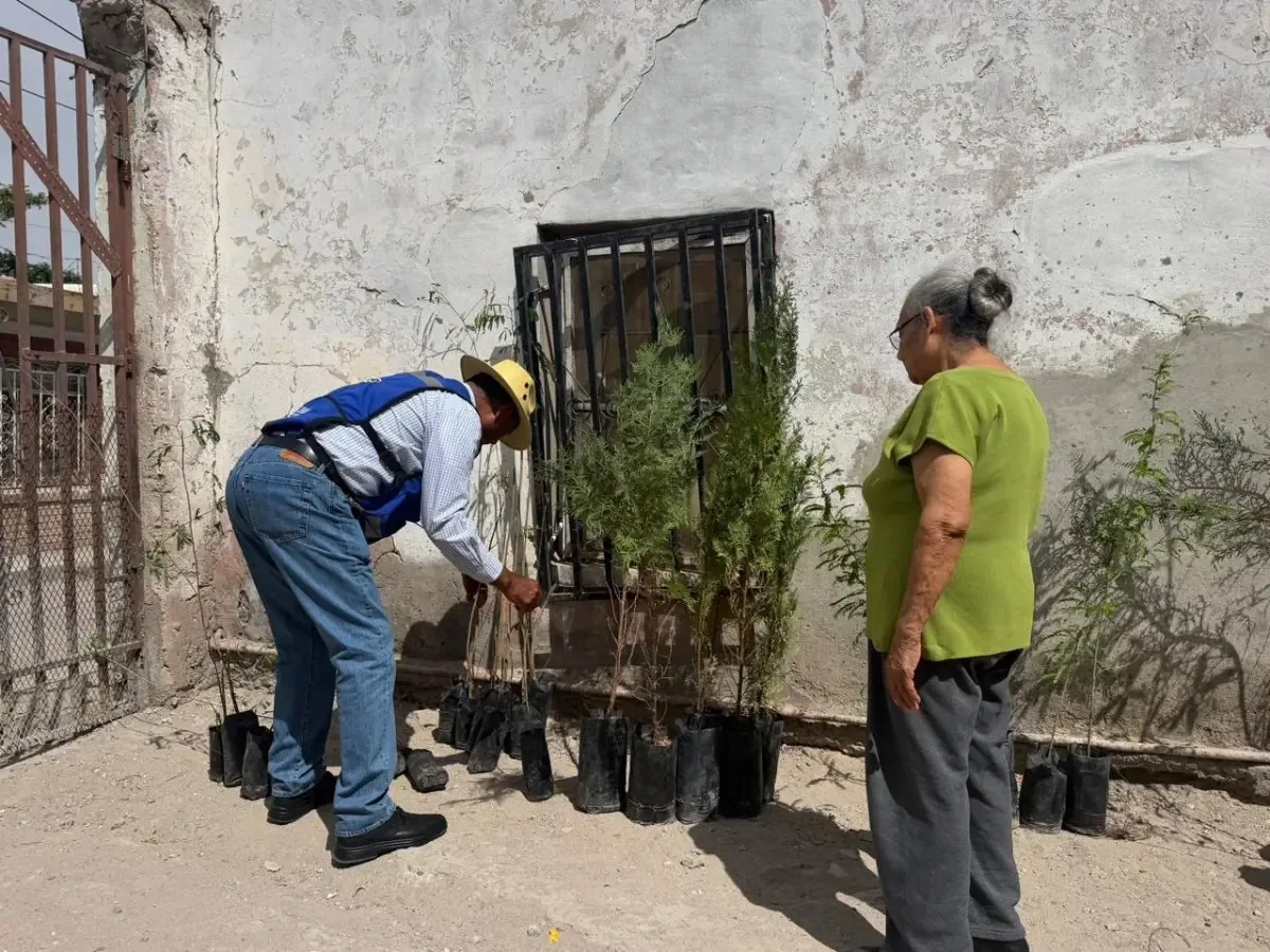 Usuarios del transporte público cuestionan la transparencia del gobierno respecto a vehículos utilizados en rutas alimentadoras.
