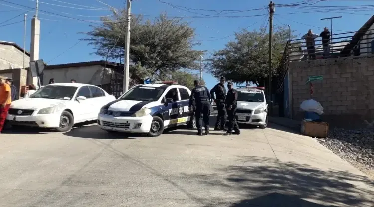 Una gata fue hallada muerta en un estacionamiento, lo que generó inquietud entre los residentes.