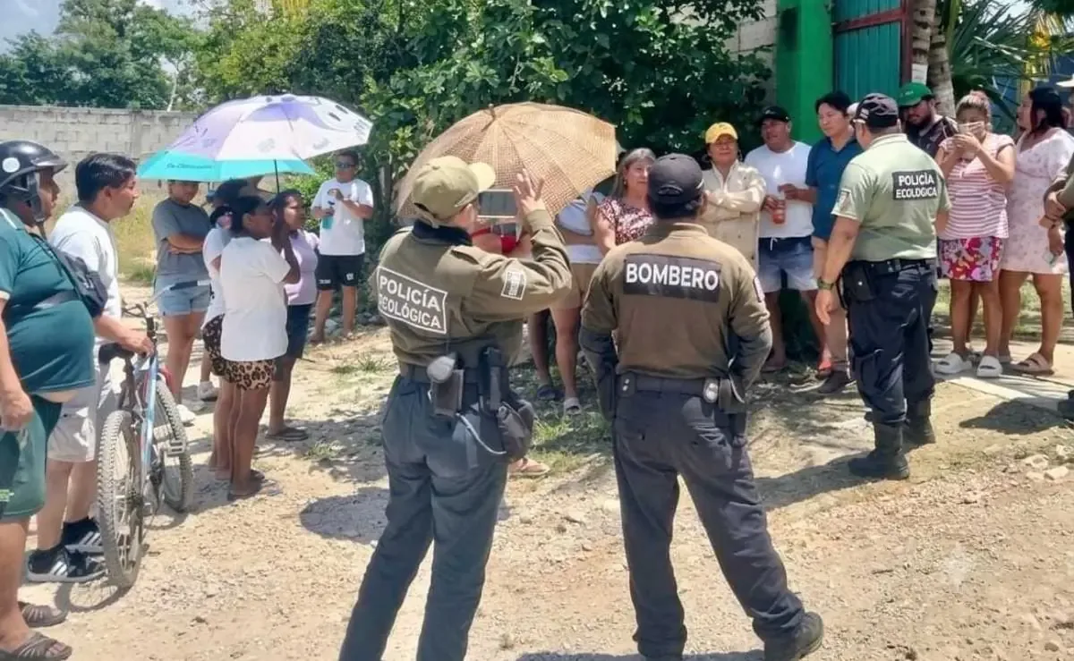 La comunidad de San Pedro Noh Pat busca mejorar su calidad de vida tras la clausura de la empresa.