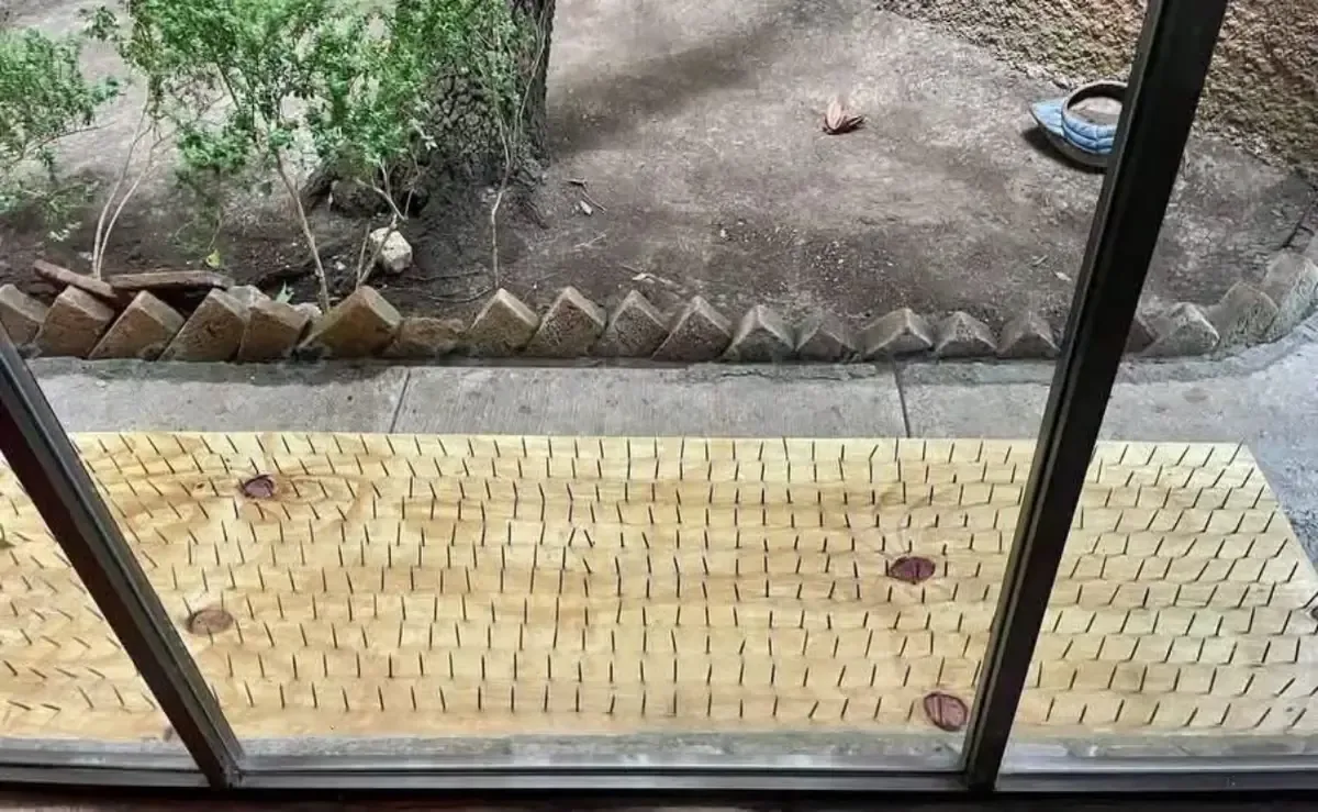 La medida genera preocupación por los riesgos que representa para la fauna silvestre.