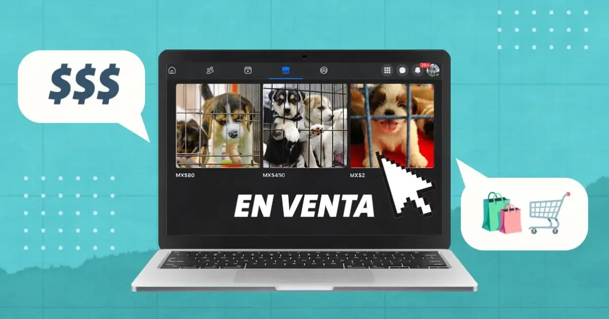 Venta de cachorros en redes sociales a pesar de la prohibición en la CDMX.
