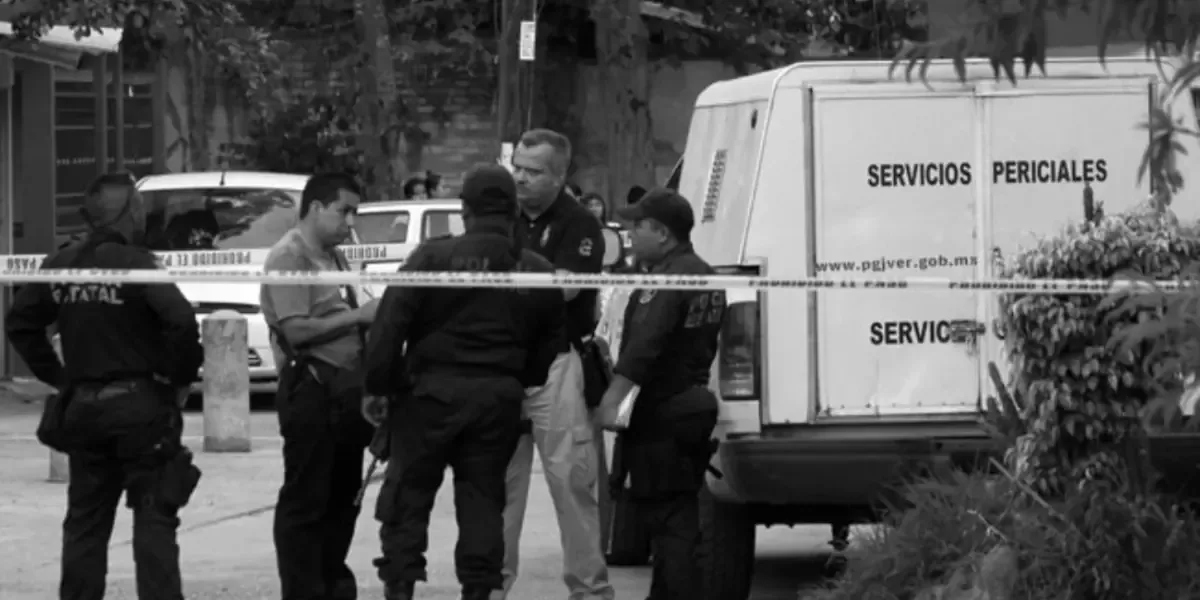 La violencia contra el periodismo en Veracruz se agrava tras el asesinato de Roxana Guzmán, revelando un clima de impunidad.