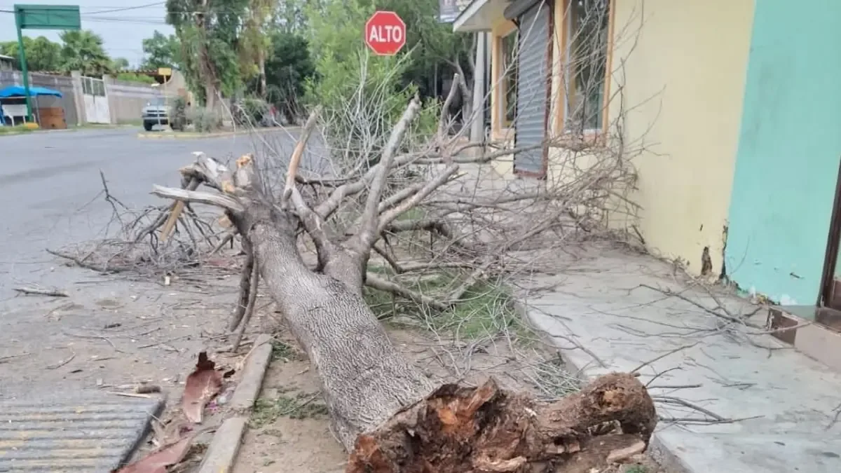 Las ráfagas de viento generaron daños significativos en servicios públicos y afectaron a varios sectores.