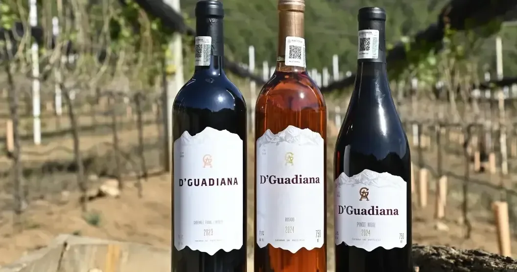 La región vitivinícola de Coahuila crece con la nueva propuesta de Vinos D’Guadiana, que ofrece experiencias auténticas y gastronómicas.