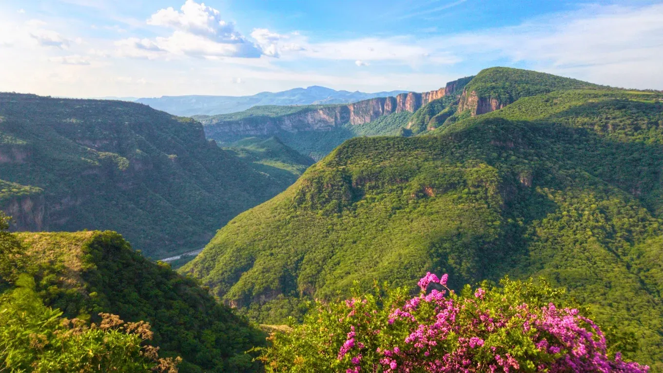 Vistas panorámicas de la Barranca de Huentitán desde el Parque Mirador Independencia.