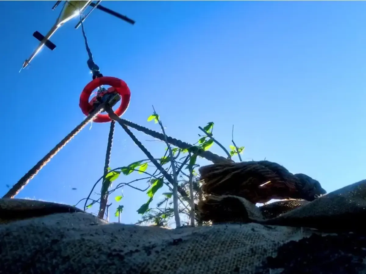 Un innovador proyecto ecológico ayuda a restaurar un humedal en riesgo en Estados Unidos.