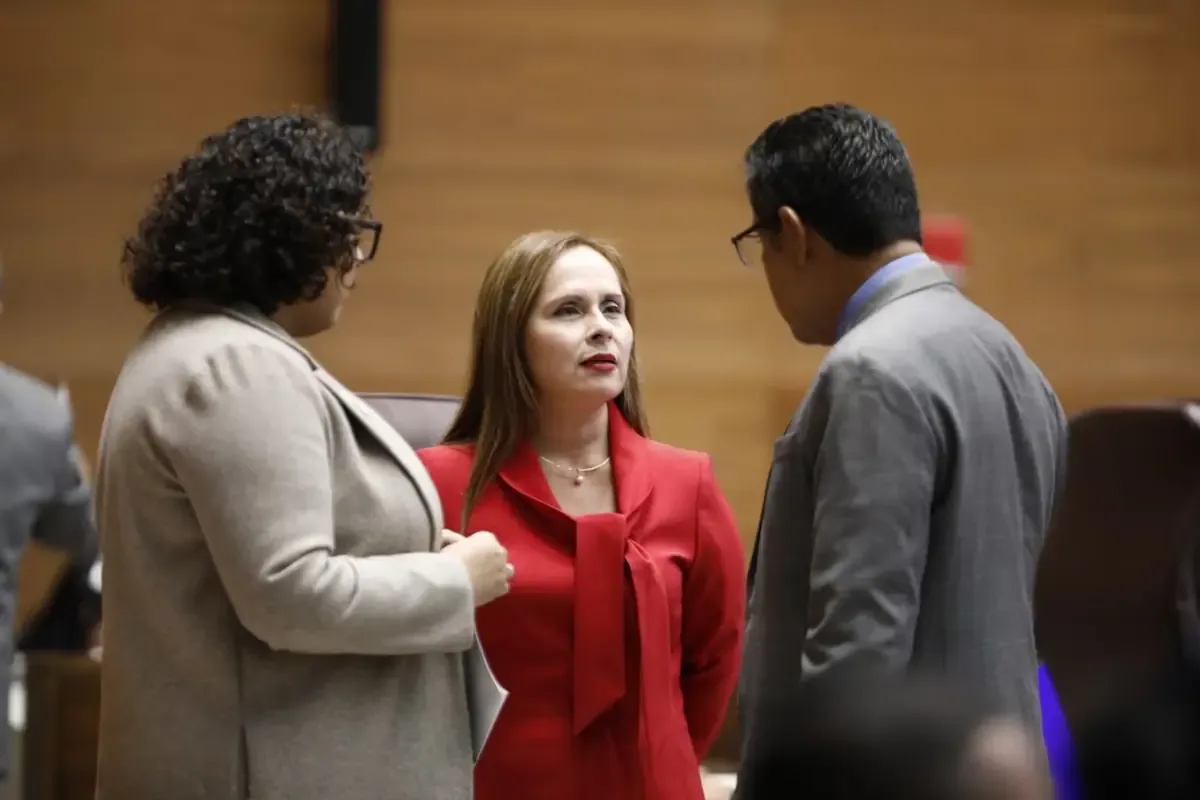 La presidenta de la Asamblea Legislativa ignoró las solicitudes de varios diputados al definir las comisiones, generando descontento.
