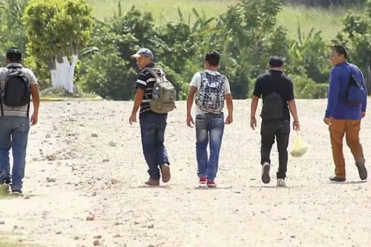 Las comunidades yucatecas en Estados Unidos forman redes de seguridad ante la creciente amenaza de deportaciones.