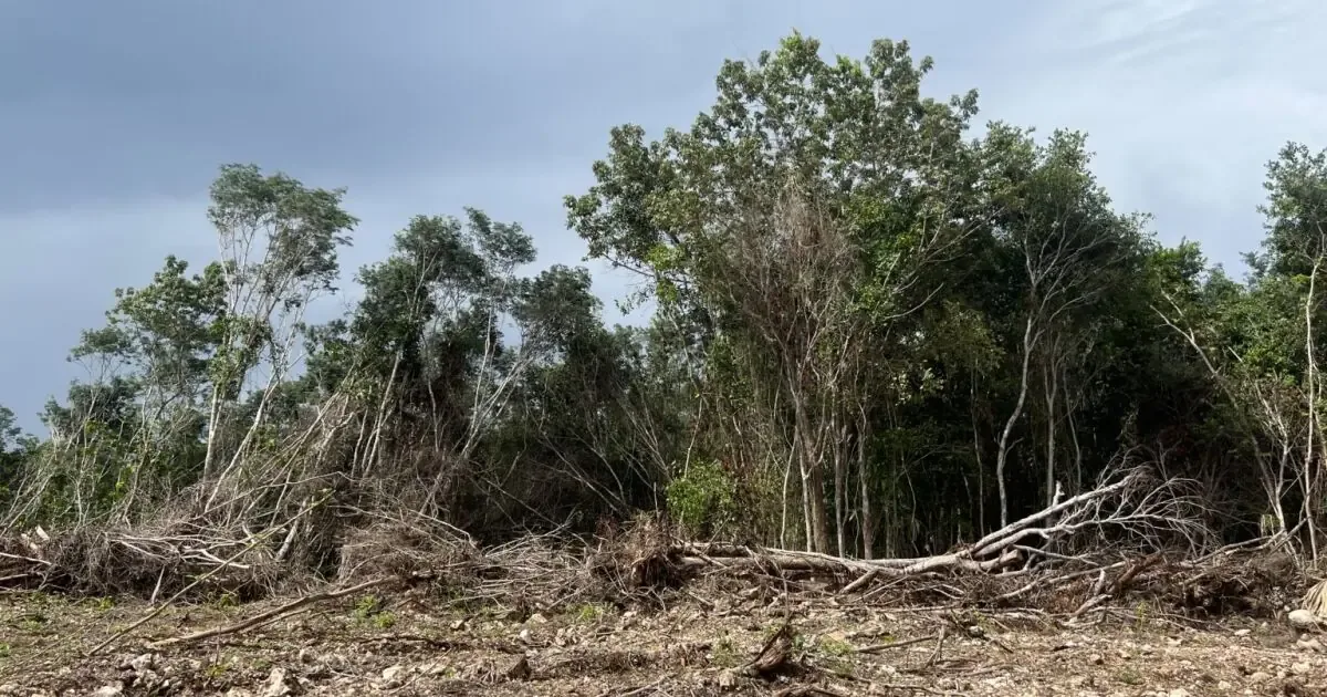 Nuevas medidas impulsan un modelo de conservación ante amenazas ecológicas.