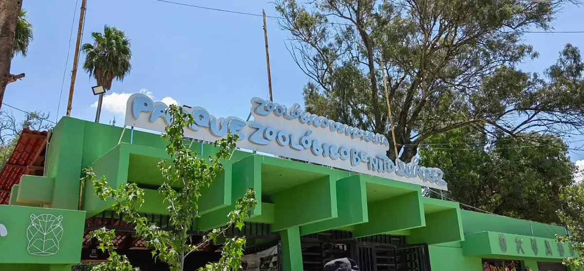 El zoológico de Morelia espera atraer más visitantes con la construcción de un pingüinario para 2027.