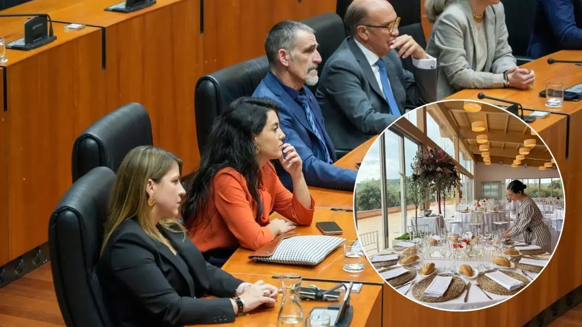 La joven exdiputada comparte su experiencia en política y su nueva etapa como empresaria.